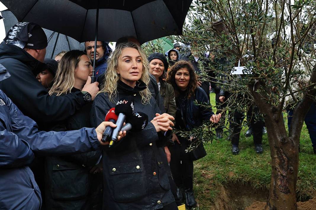 İstanbul'a 1111 'nefes' takviyesi yapıldı! Fıstık çamları ve zeytinler buluştu 11